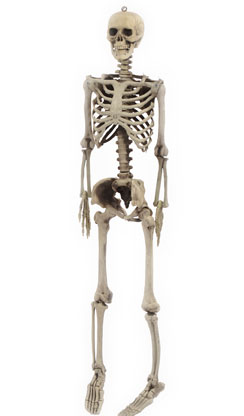 skelet hangend 