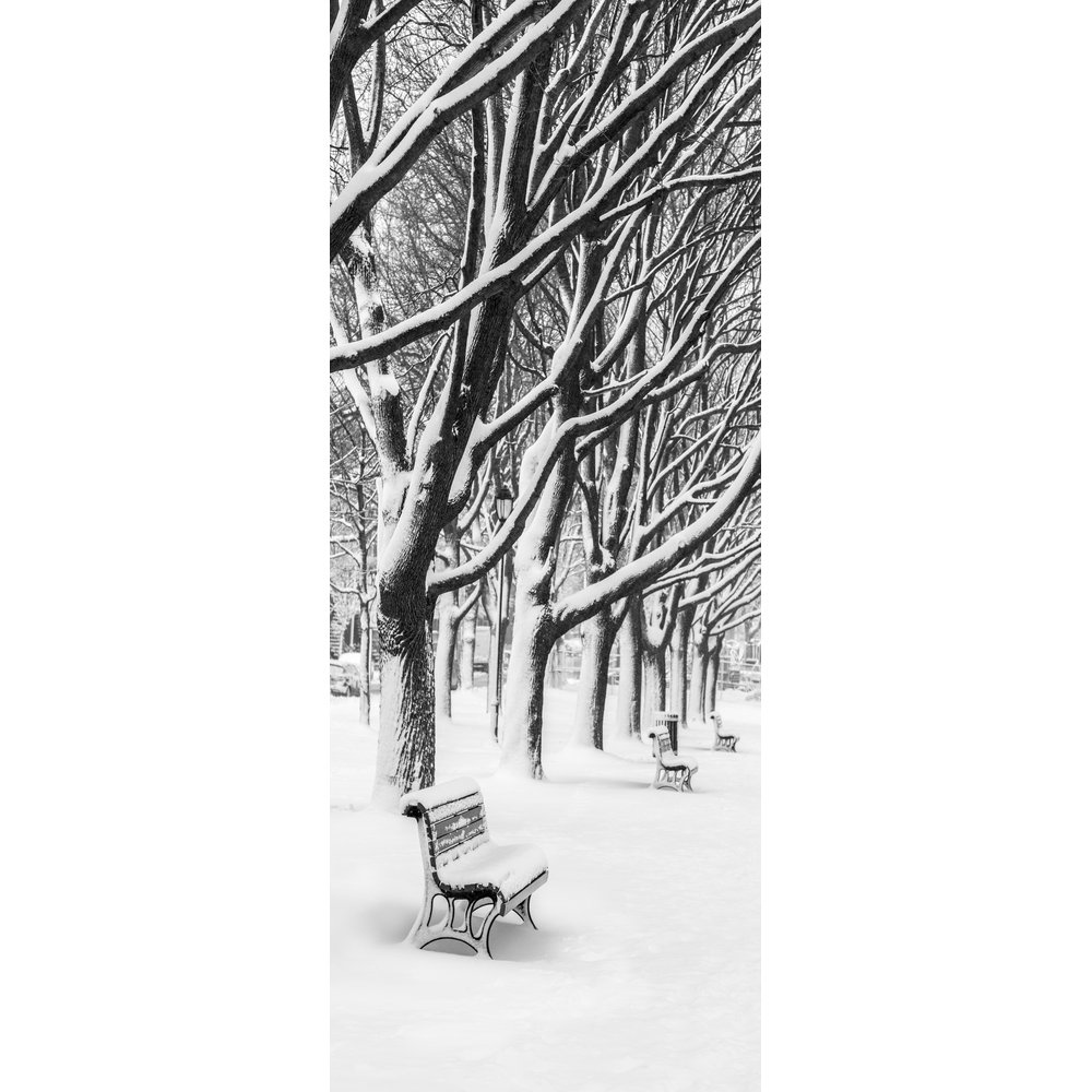 banner 'bank, bomen, sneeuw'