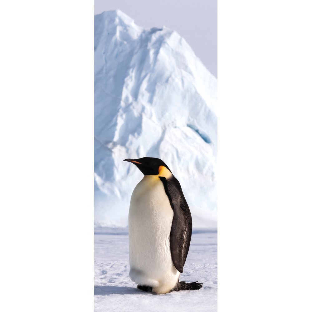 banner Pinguïn