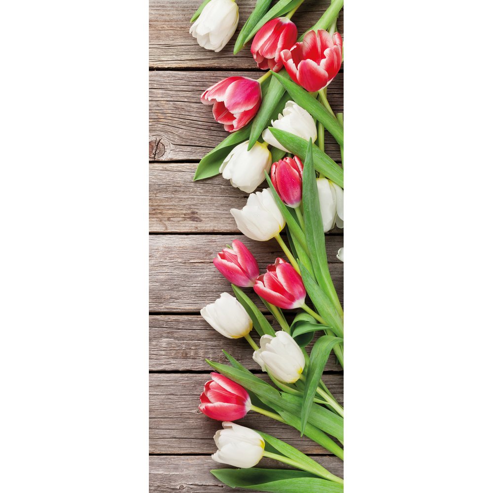 banner 'tulpen'