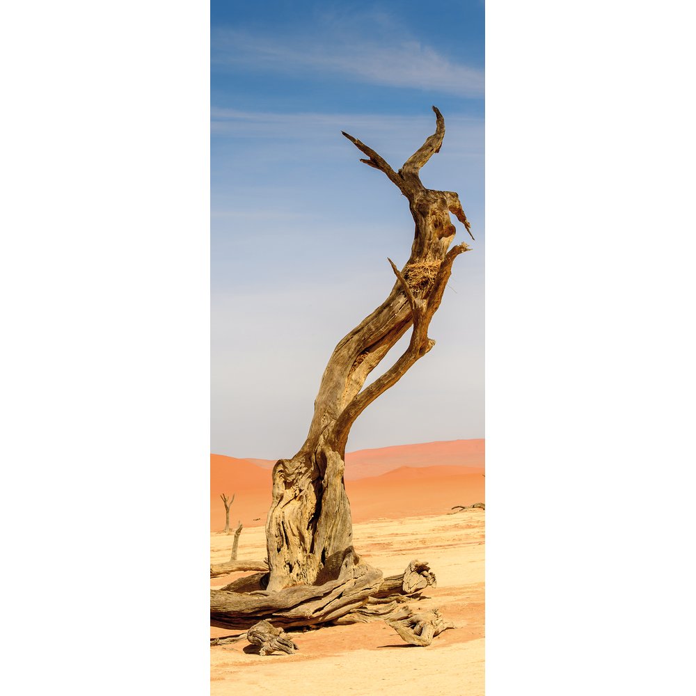 banner 'woestijn + boom'