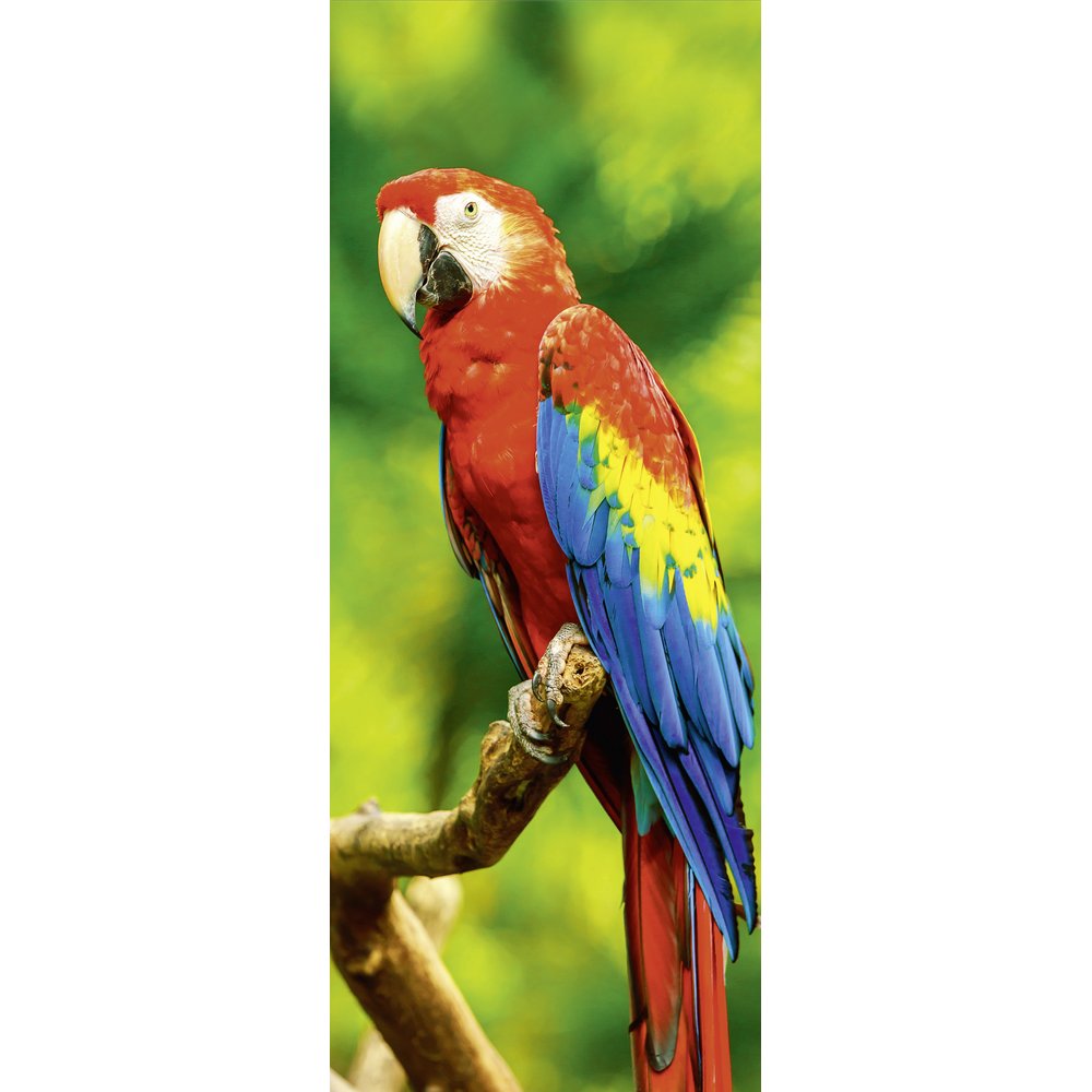 banner 'papegaai op tak'