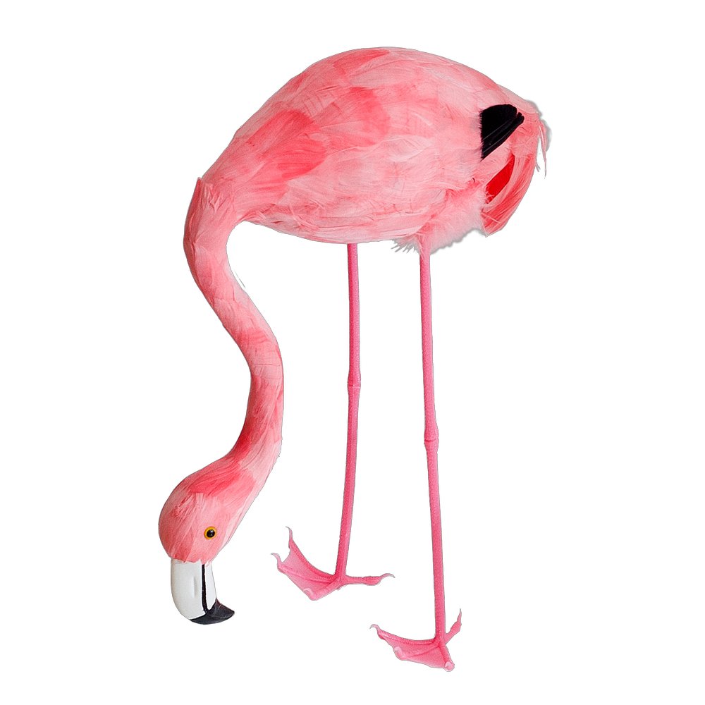 flamingo met kop omlaag (klein)