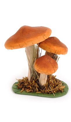 paddenstoel x3 klein