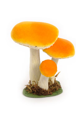 paddenstoel x3