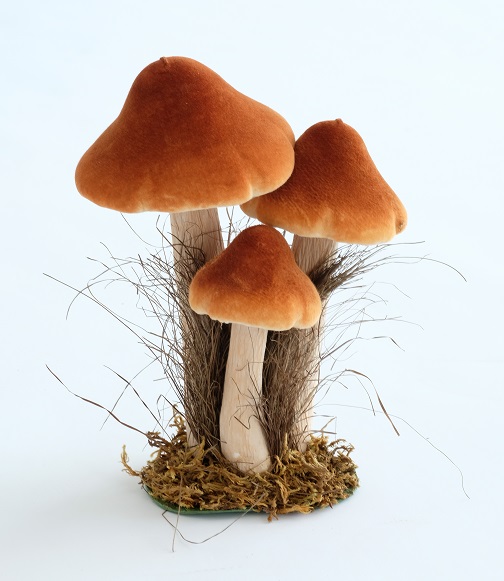 paddenstoel x3