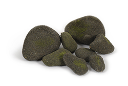 stenen