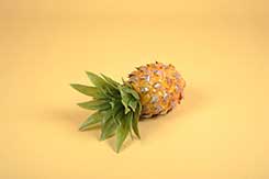 ananas klein