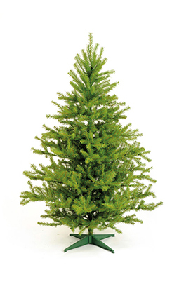 KERSTBOMEN